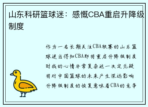 山东科研篮球迷：感慨CBA重启升降级制度