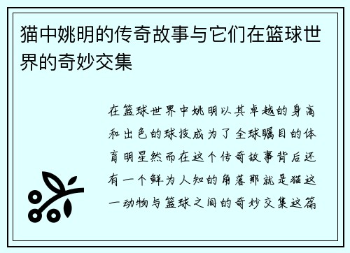 猫中姚明的传奇故事与它们在篮球世界的奇妙交集
