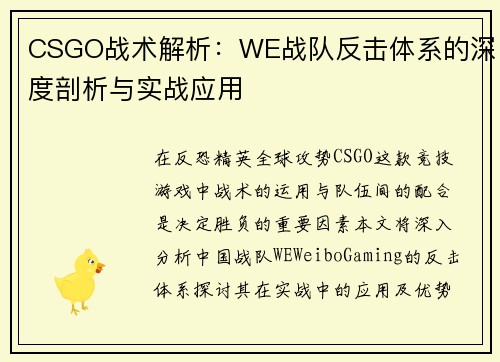 CSGO战术解析：WE战队反击体系的深度剖析与实战应用
